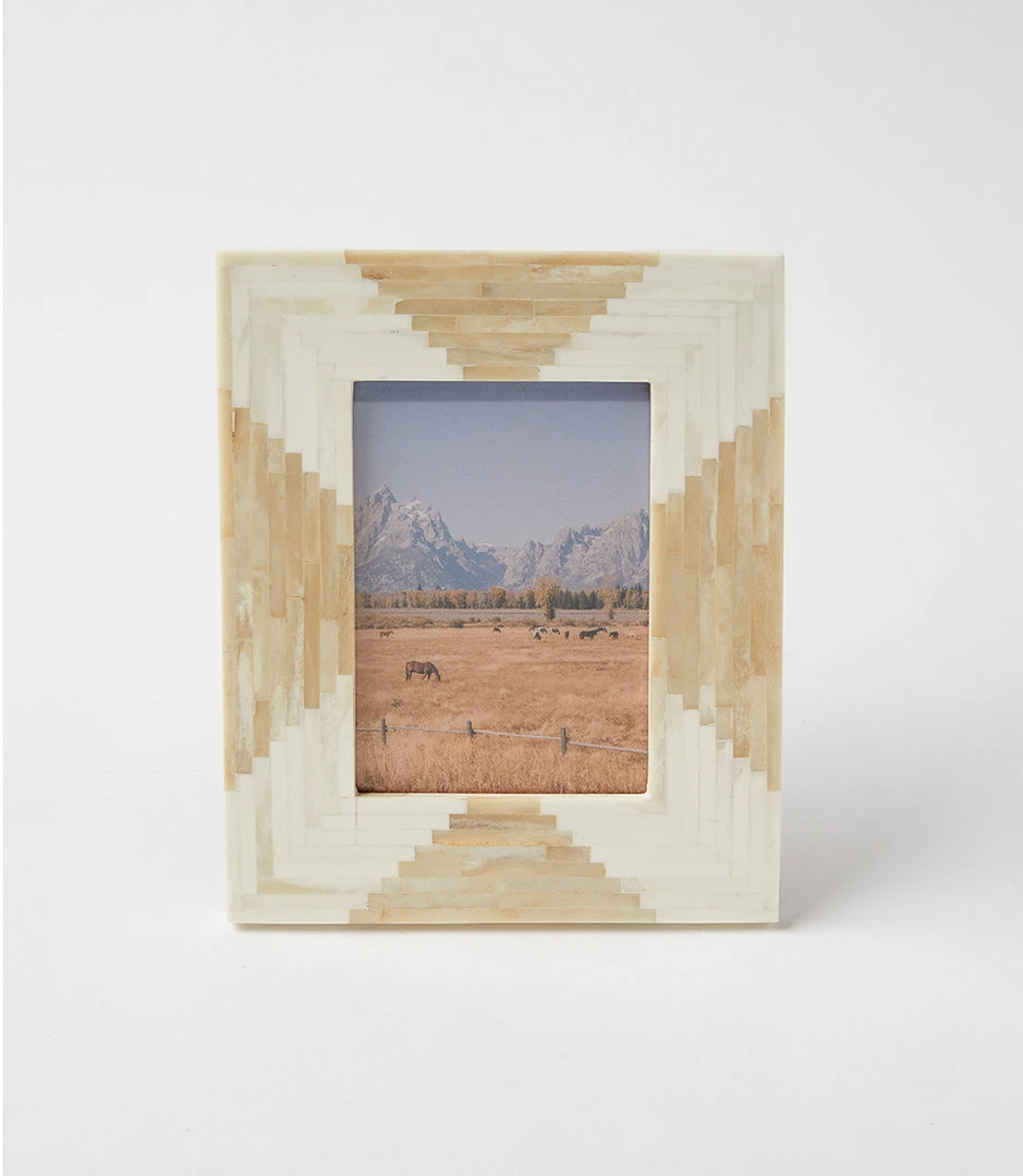 Karen Kane Home Aztec Bone Picture Frame