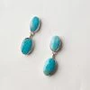 Karen Kane Accessories Turquoise Drop Earrings