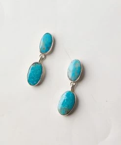 Karen Kane Accessories Turquoise Drop Earrings