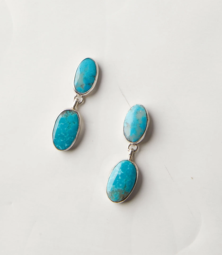 Karen Kane Accessories Turquoise Drop Earrings