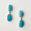 Karen Kane Turquoise Drop Earrings Accessories