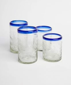 Karen Kane Etched Dove Drinking Glass Home