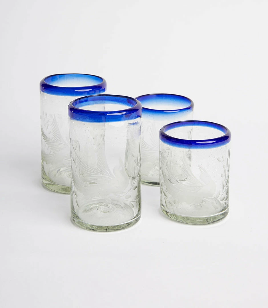 Karen Kane Etched Dove Drinking Glass Home