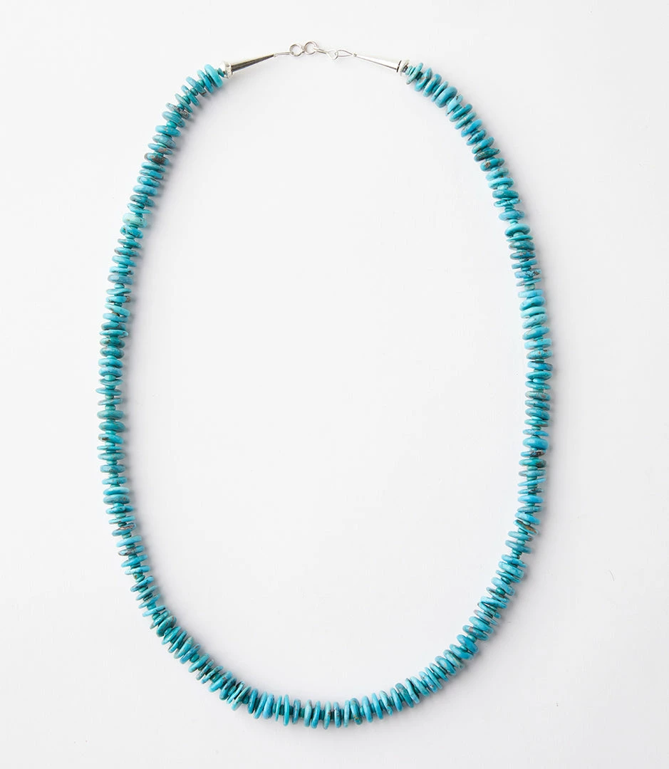 Karen Kane Turquoise Necklace