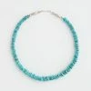 Karen Kane Turquoise Stone Necklace