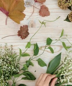 Karen Kane Gathering Home